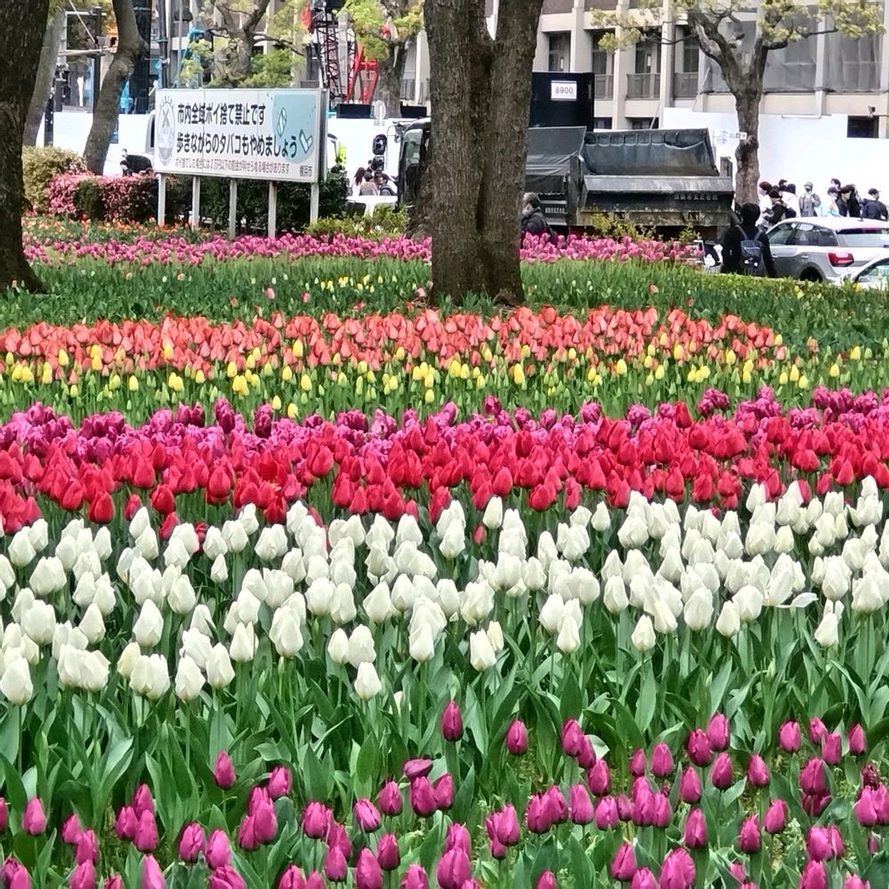 ユリコさんの横浜公園への投稿