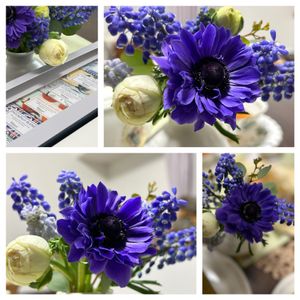 庭の花,青い花,花のある暮らし,お茶の時間,ティータイムの画像
