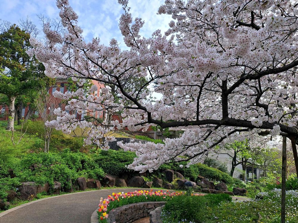 エリィさんの港の見える丘公園への投稿