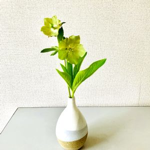 花のある暮らし,自己流,GS映え,手作り花瓶,1分生花の画像