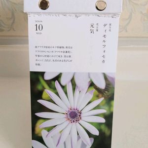 日めくりカレンダー,花言葉,友達からのプレゼント,今日の誕生花の画像