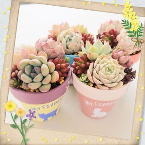 割れ鉢⭐クリームイエロー 温かい リメ鉢 リメイク鉢 リメ缶 リメイク 