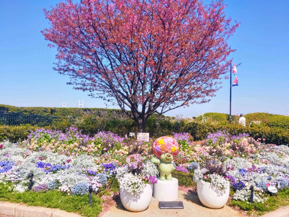 White Roseさんの港の見える丘公園への投稿