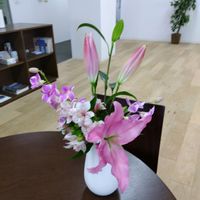 いけばな,生け花,職場に花を,職場のいけばな,ユニクロのお花の画像