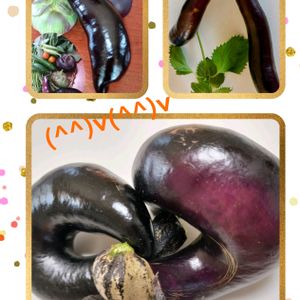 ナス,茄子の花,ナスビ,家庭菜園！,紫の花の画像