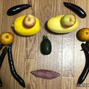 ナス,ズッキーニ,ナスビ,夏野菜,千葉県の画像
