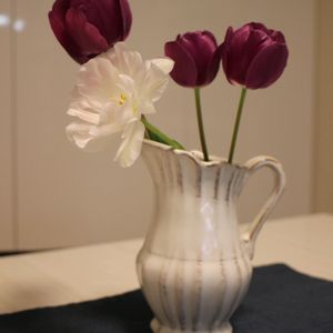 チューリップ,花のある暮らし,白いお花,紫色のお花,小さなお庭の画像