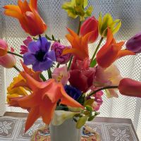 チューリップ,チューリップ,春の花,花瓶の花,癒し…♡の画像