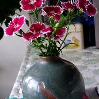 ナデシコ,一輪挿し,ダイニング,お気に入り,テーブルの花の画像