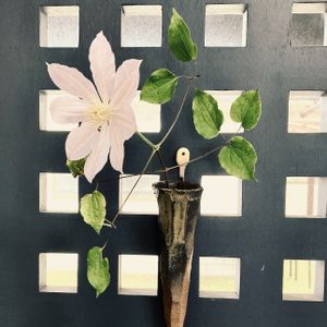 クレマチス(てっせん),花のある暮らし,自己流,GS映え,手作り花瓶の画像