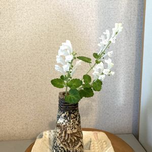 タツナミソウ,花のある暮らし,自己流,GS映え,手作り花瓶の画像