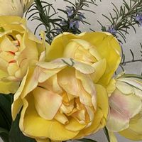 ローズマリー,八重咲きチューリップ,八重咲き,花のある暮らし,小さな庭の画像