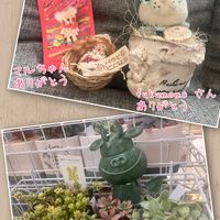 多肉植物,イベント,北海道,戦利品,繋がりに感謝✨の画像