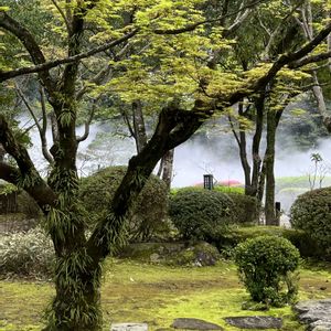 日本庭園,大濠公園,大濠雲海の画像