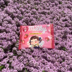 タイム,グランドカバー,ピンクの花,ペコちゃん祭りの画像