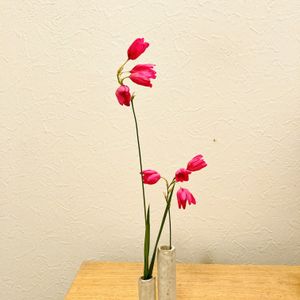 イキシア,花のある暮らし,自己流,GS映え,手作り花瓶の画像
