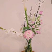 切り花,花瓶,北海道,初春,リビング・ダイニングの画像