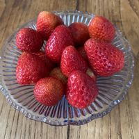 イチゴ,昭和レトロ,いちご大好き,かき氷皿,家庭菜園の画像