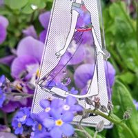 ワスレナグサ,大人の着せ替え人形,今日のお花,お散歩ちゃんキーホルダー,モコのみどりのまとめの画像