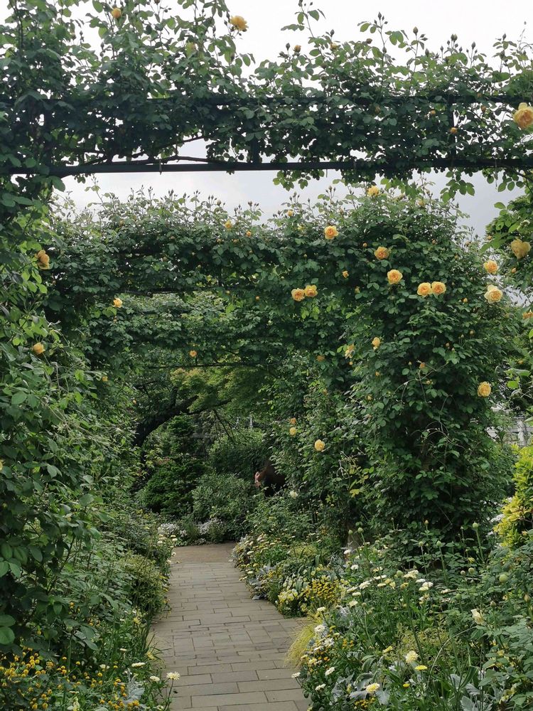 とりさんの港の見える丘公園への投稿