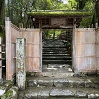 花のある暮らし,お寺巡り,そうだ京都、行こう,iPhone13で撮影,詩仙堂のお庭の画像