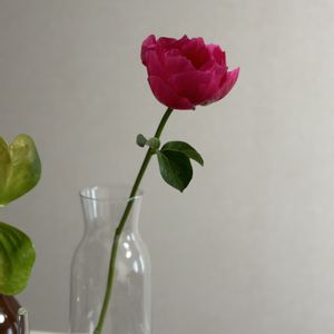 シャクヤク,芍薬,お花屋さん,花のある暮らし,ガラスの花瓶の画像