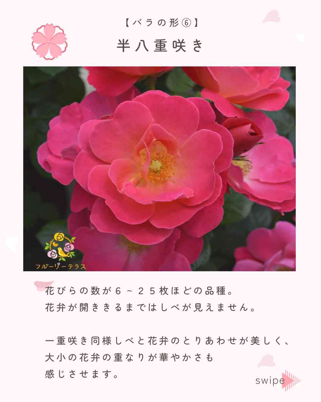 バラ様 ⭐︎おまとめ専用⭐︎ おまとめ4点 専用】おまとめ4点 専用❗4点おまとめ zx