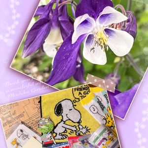 オダマキ,西洋オダマキ,花言葉,紫の花,素敵便の画像