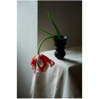 チューリップ,チューリップ エステラ・ラインベルト,ぼくモル ポタリー,ぼくモル花器,赤い花の画像