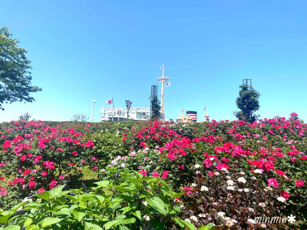 みんみんさんの山下公園への投稿