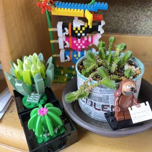 青鎖竜,LEGO多肉植物,ナノブロック,自作リメ缶、リメ鉢,LEGOの画像
