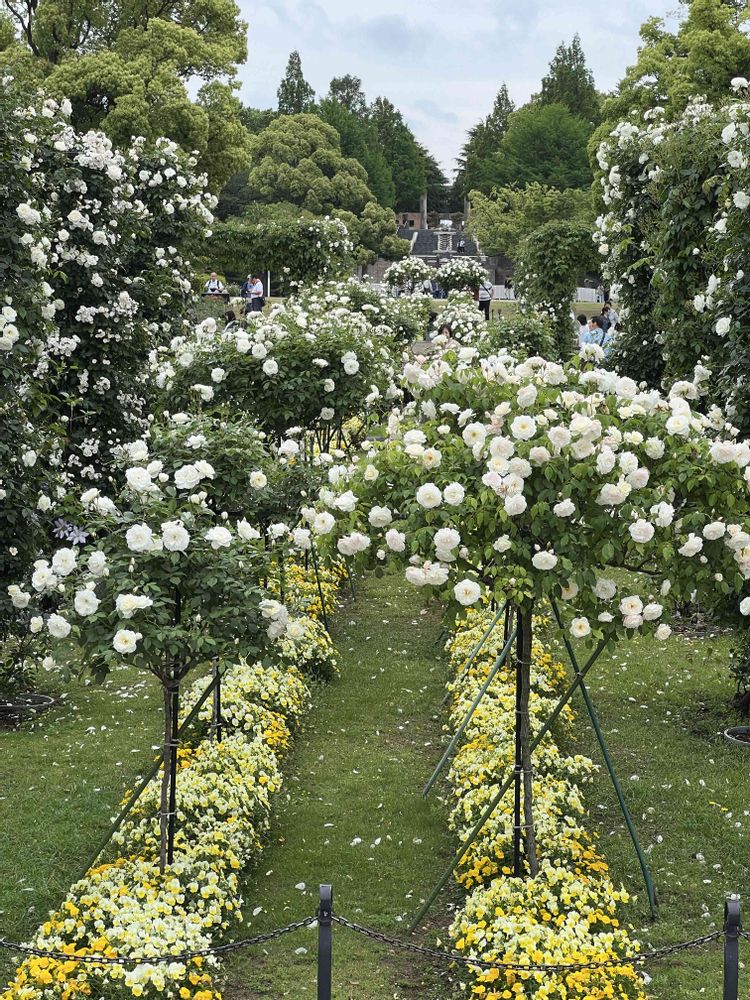 テクテクさんの山下公園への投稿