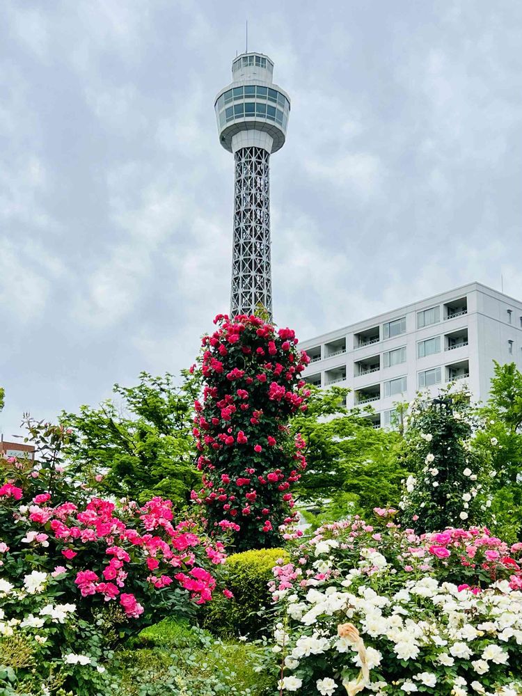 テクテクさんの山下公園への投稿