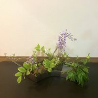 シャクヤク,ナルコユリ,フジ,モミジ,八重咲きコデマリの画像
