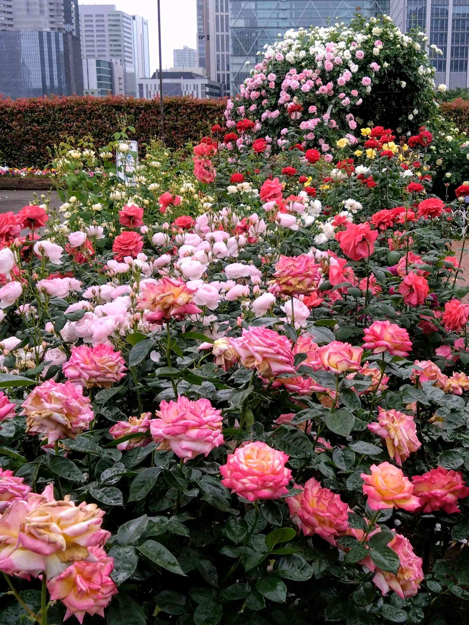 1715081226559_960226_p_2024050