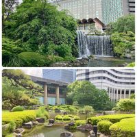 日本庭園,GSのみなさんに感謝♡,綺麗✨,花ぶら散歩,千代田区紀尾井町の画像