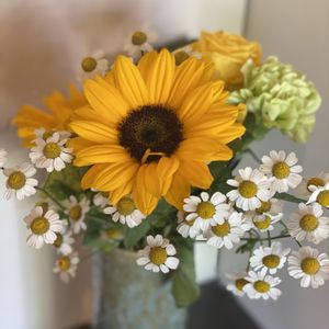 ミニヒマワリ,切り花,白い花,黄色の花,緑が好きの画像