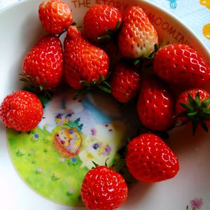 イチゴ,ポピー,かわいいな♡,富山支部,ムーミンの日の画像