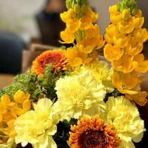 カーネーション,母の日プレゼント,今日のお花,金曜日の蕾たち,黄色い花束の画像