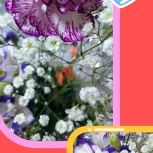スプレーカーネーション,切り花,今日のお花,いつも、いいね!ありがとうございます(*´`)♡,GSの繋がりに感謝♡の画像