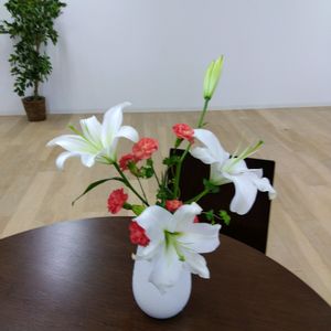 いけばな,生け花,職場に花を,職場のいけばな,ユニクロのお花の画像