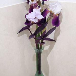 ジャーマンアイリス(紫),投げ入れ,花のある暮らし,植物のある暮らし,花瓶の花の画像