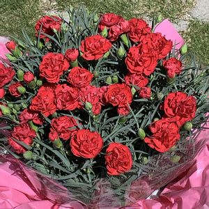 カーネーション,赤い花,花のある暮らし,母の日プレゼント,沖縄の画像
