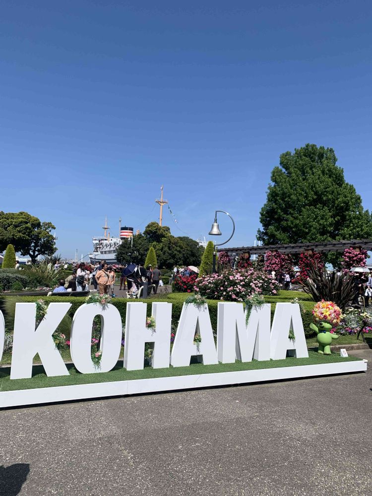 むーちゃんさんの山下公園への投稿