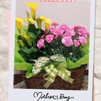 フィロデンドロン,薔薇の花のプリザーブドフラワー,ウツギの押し花,母の日プレゼント,嬉しいの画像