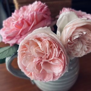 バラ,フラワーアレンジメント,花瓶,癒し,花のある暮らしの画像