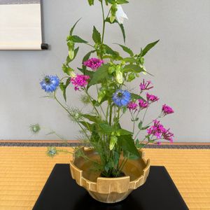 ニゲラ,ホタルブクロ,ムシトリナデシコ(虫取撫子),生け花,季節の花の画像