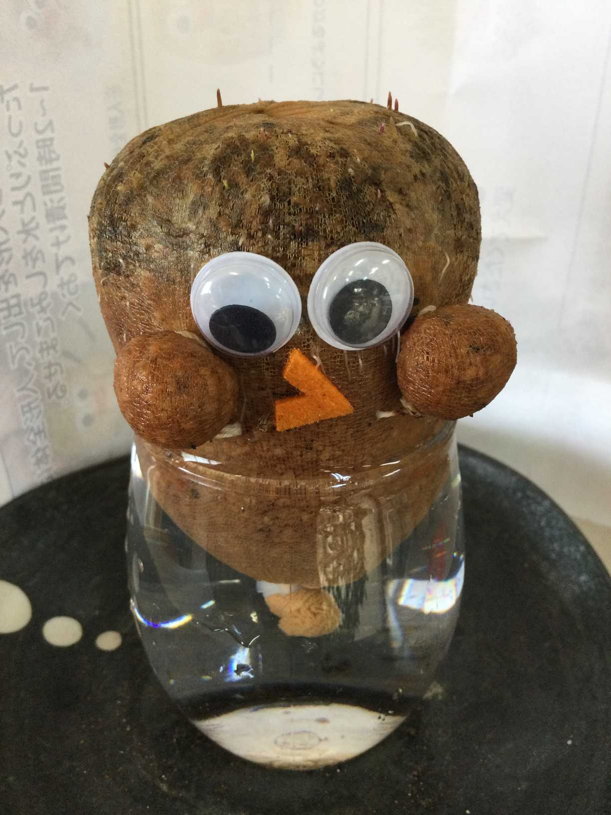 ちゃっぷん のび太郎｜🍀GreenSnap（グリーンスナップ）