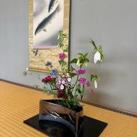 セキチク,ニゲラ,ホタルブクロ,ムシトリナデシコ(虫取撫子),生け花の画像