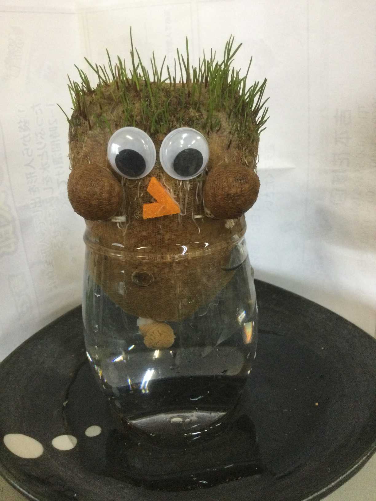 ちゃっぷん のび太郎｜🍀GreenSnap（グリーンスナップ）